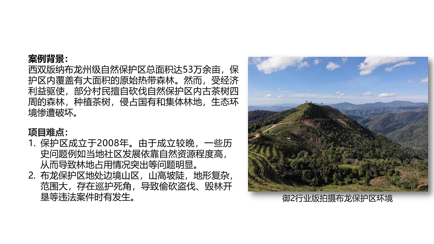 林业行业