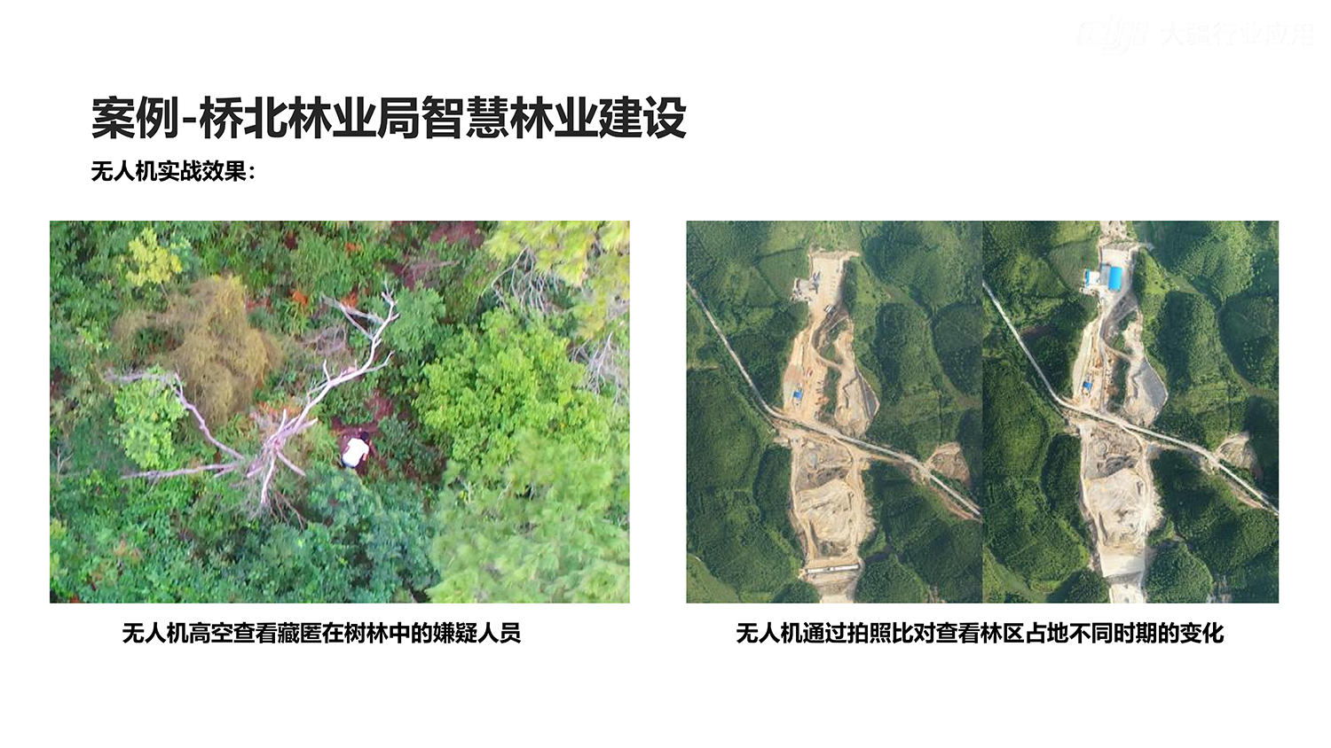 林业行业